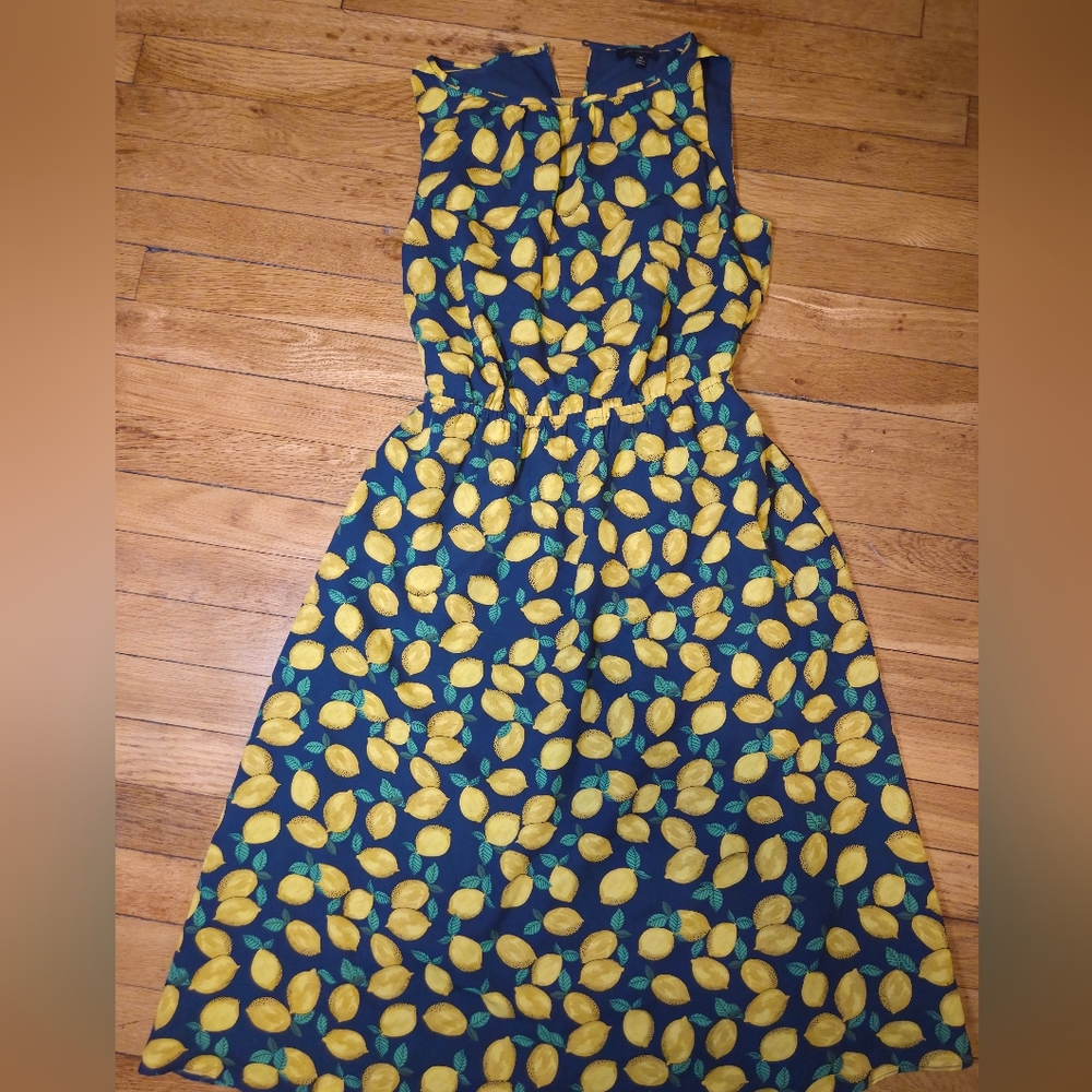 The Limited Sleeveless Dress with Lemon Pattern
